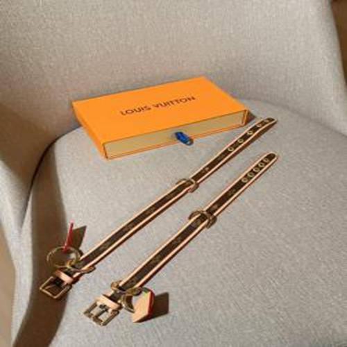 애견용 목줄 세트