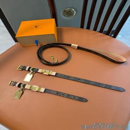 애견용 목줄 세트