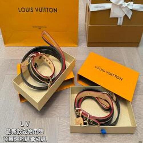 애견용 목줄 세트