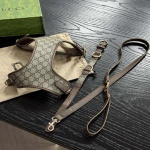 애견용 목줄 세트